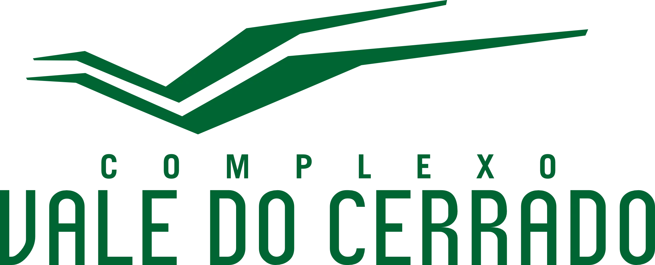 LOGO VALE DO CERRADO